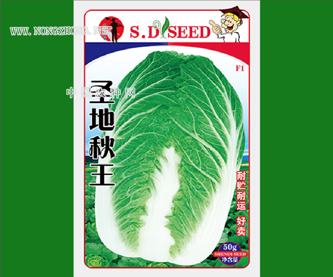 圣地秋王